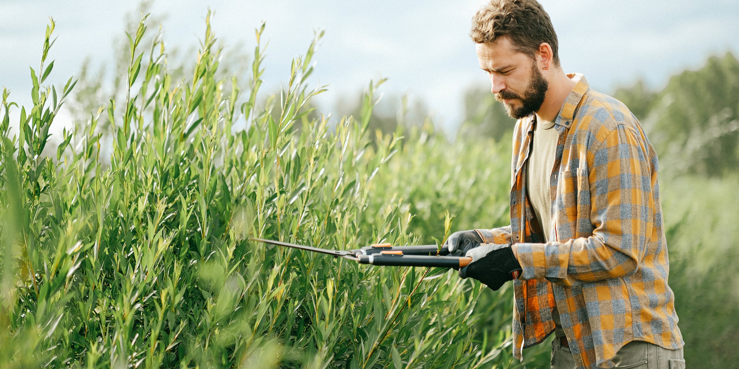 Hoa landscapers